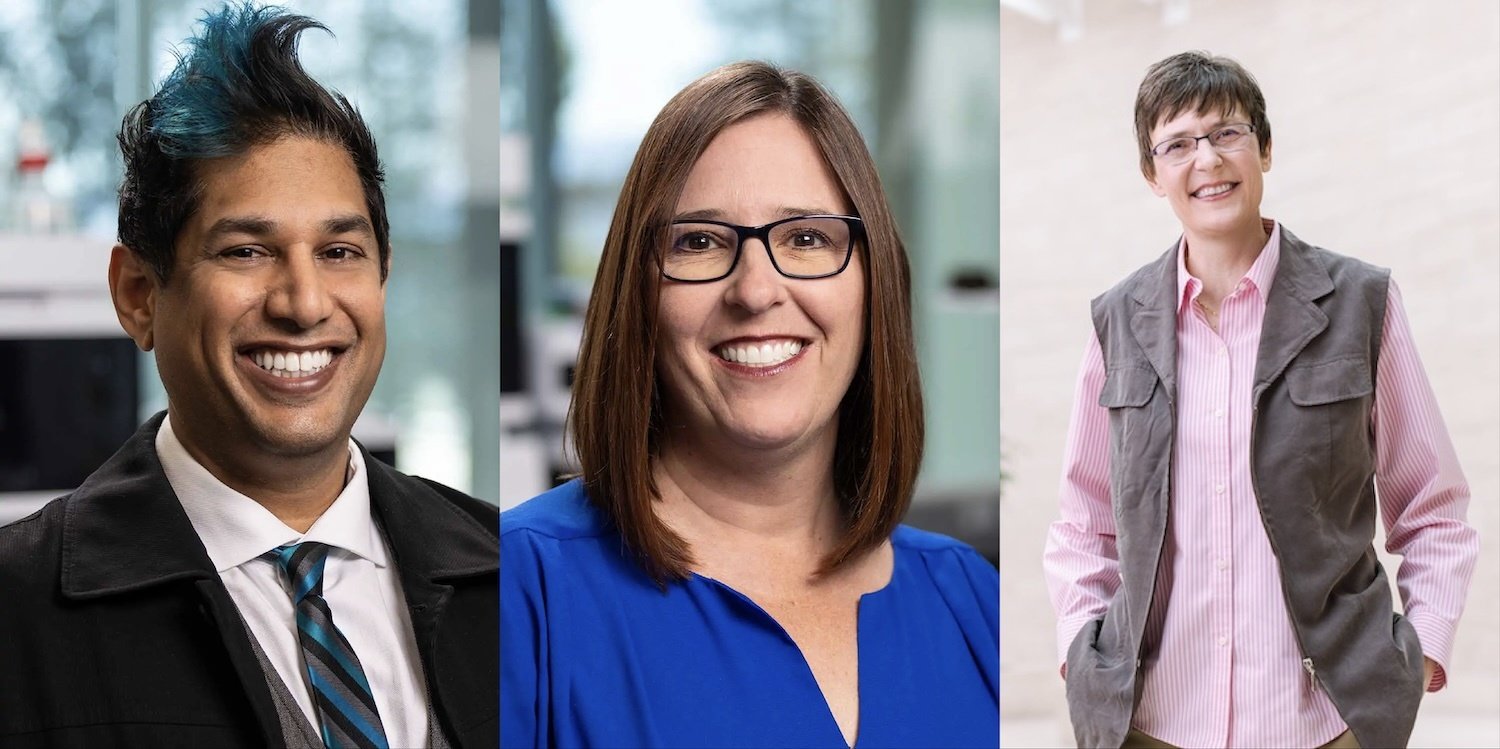 Parag Sheri Birgit Parag Sheri Birgit